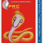 SNAKE TABLETS/SERPENT EGGS/PAMPU MATHIRAI (10 PKTS)